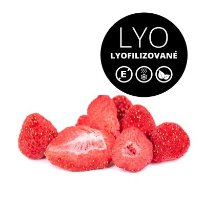 MoonFood Lyofilizované ovoce - Jahoda, 20 g